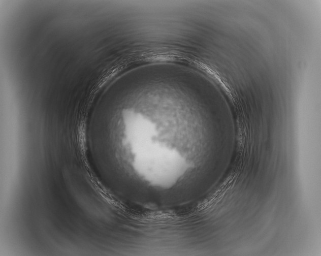 X0000116060386200911271247