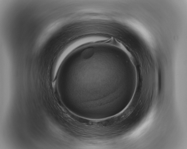 X0000116060387200911271247