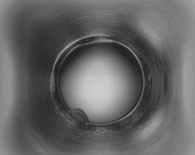 X0000116060388200911271247
