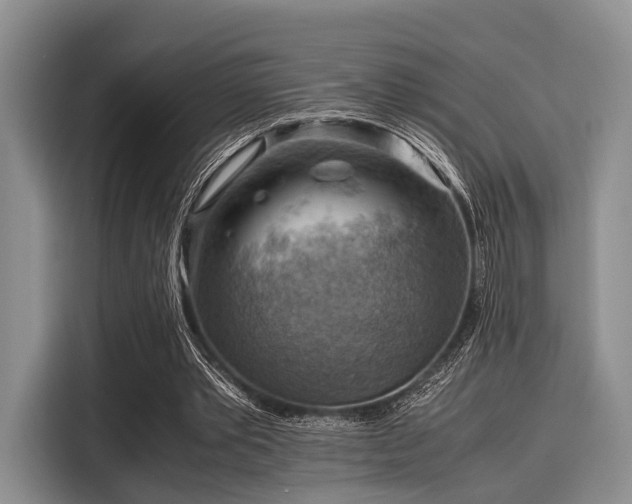 X0000116060389200911271247