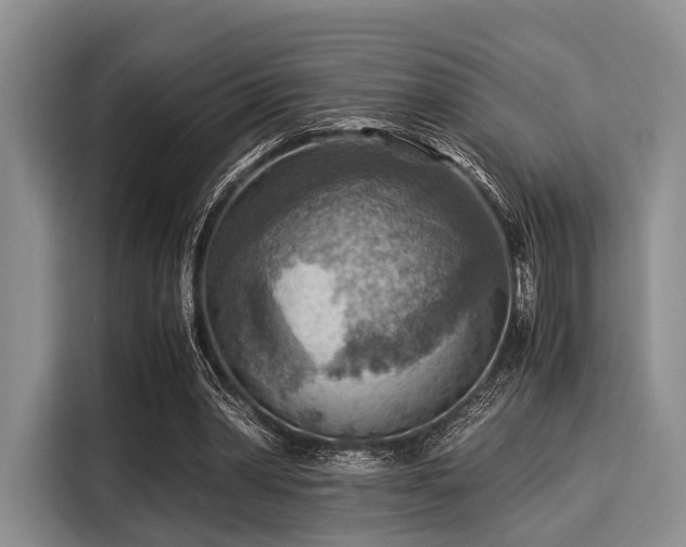 X0000116060390200911271247