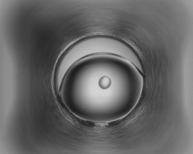 X0000116060391200911271247