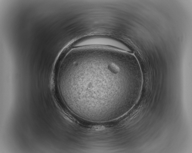 X0000116060392200911271247