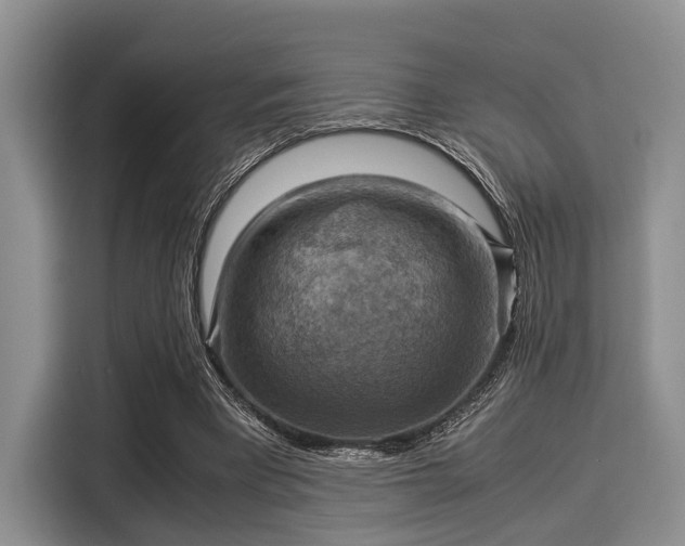 X0000116060393200911271247