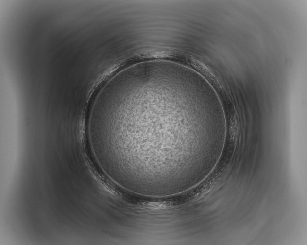 X0000116060394200911271247