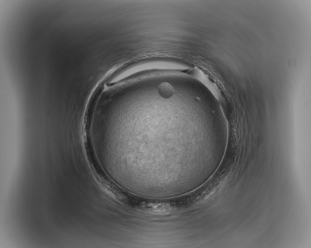 X0000116060395200911271247