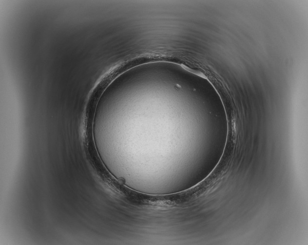 X0000116060396200911271247