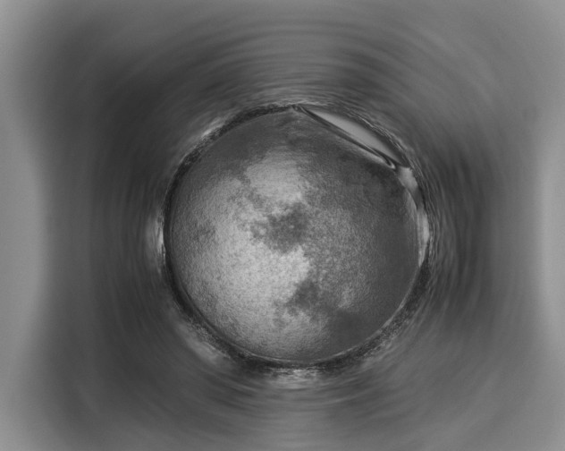 X0000116060398200911271247