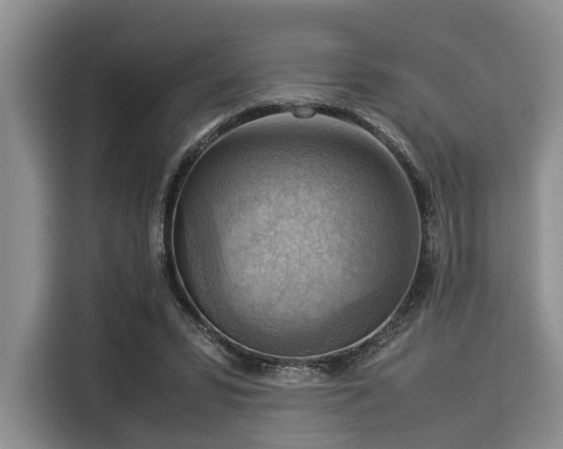 X0000116060399200911271247