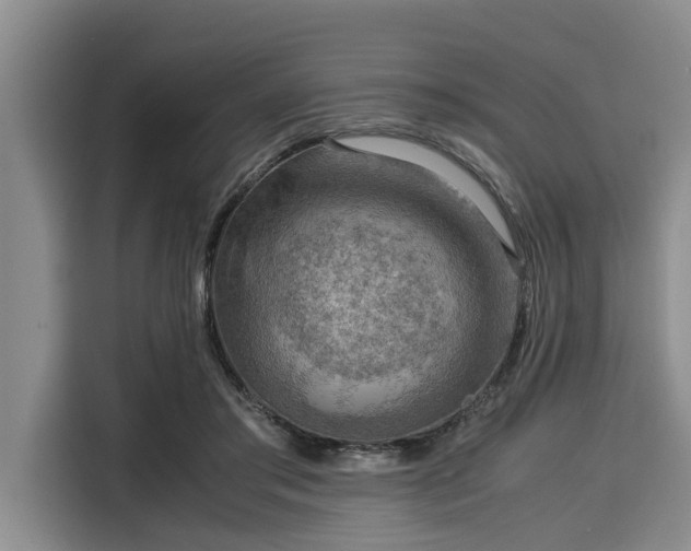 X0000116060405200911271247