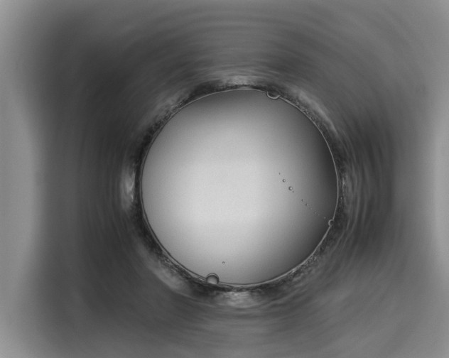 X0000116060406200911271247