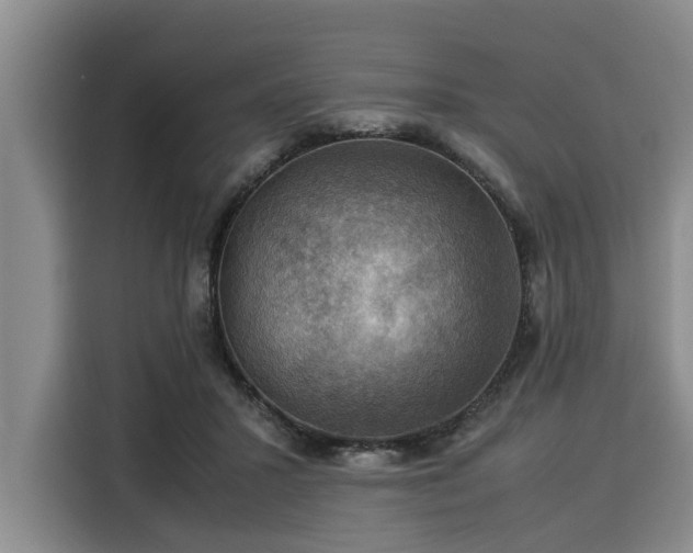 X0000116060407200911271247