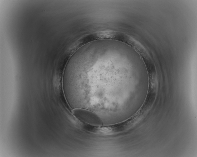 X0000116060409200911271247