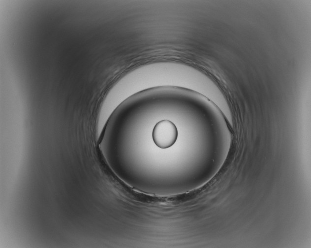 X0000116060411200911271246