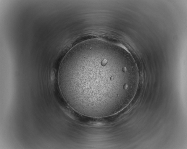 X0000116060412200911271246