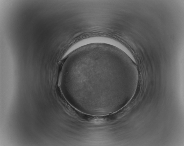 X0000116060413200911271246
