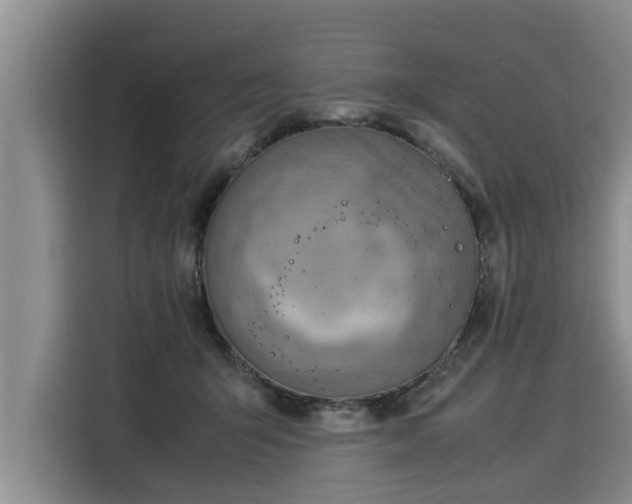 X0000116060415200911271246
