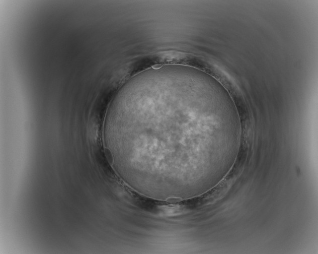 X0000116060417200911271246