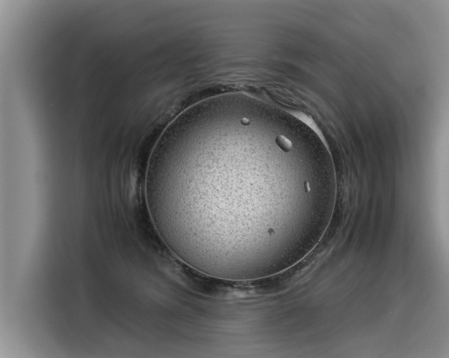 X0000116060420200911271246