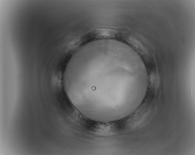 X0000116060423200911271246