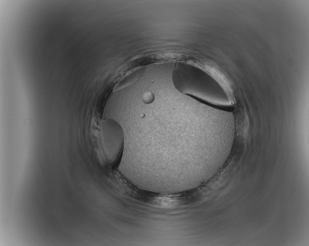 X0000116060425200911271246