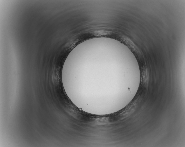 X0000116060426200911271246