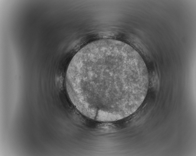 X0000116060427200911271246