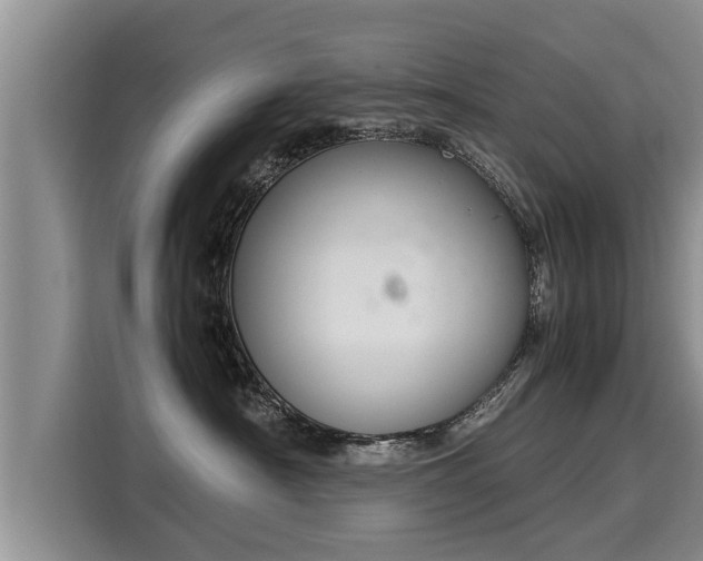 X0000116060430200911271246