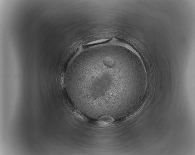 X0000116060432200911271246