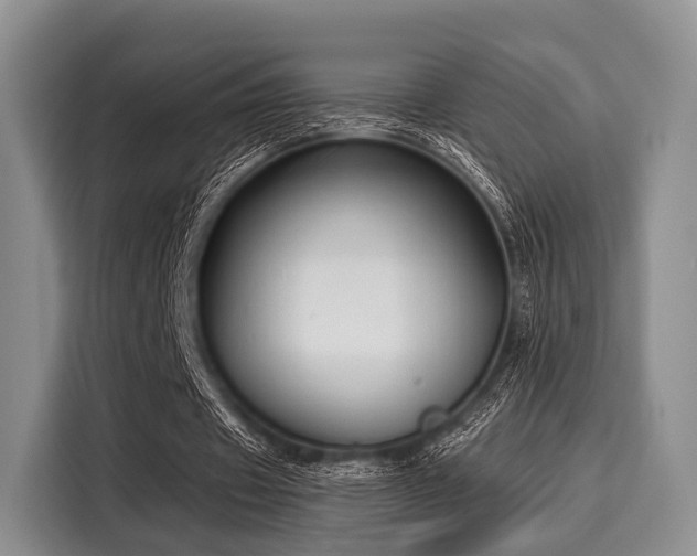 X0000116060433200911271246