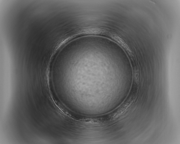 X0000116060434200911271246