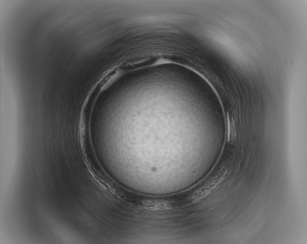 X0000116060435200911271246