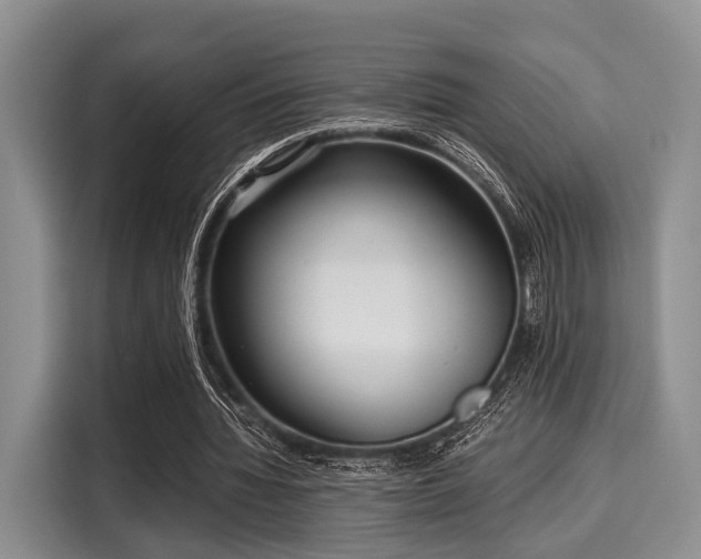 X0000116060436200911271246