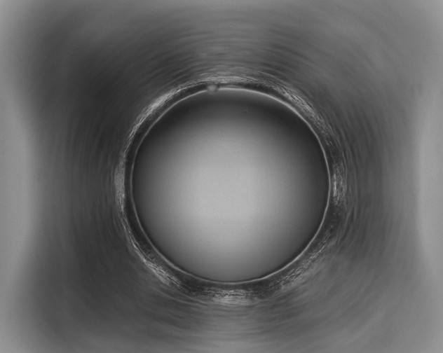 X0000116060438200911271246