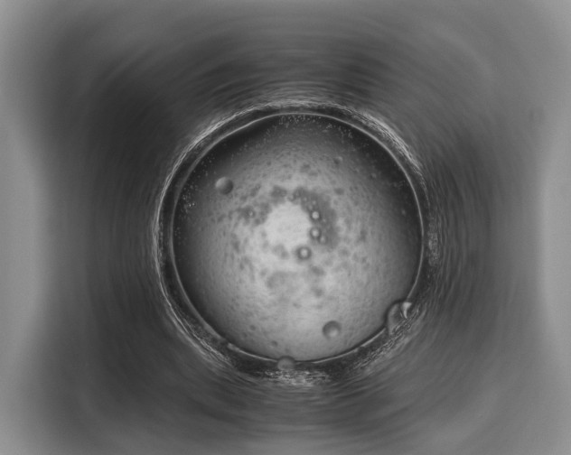 X0000116060439200911271246