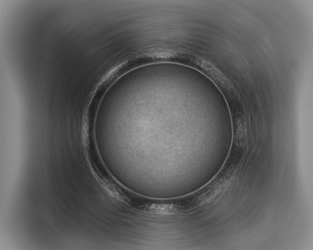 X0000116060440200911271246