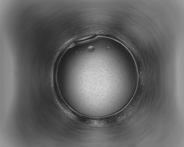 X0000116060442200911271246