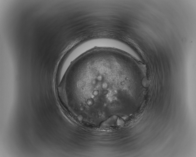 X0000116060443200911271246