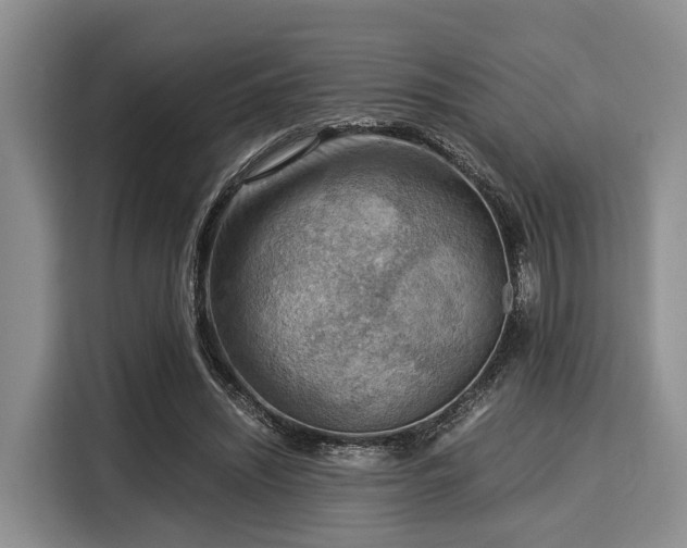 X0000116060444200911271246