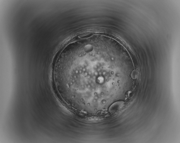 X0000116060445200911271246