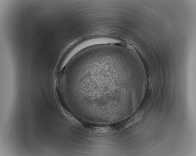 X0000116060446200911271246