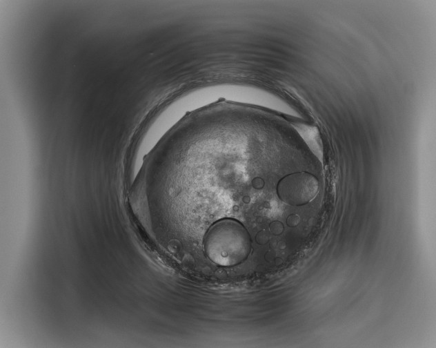 X0000116060447200911271246