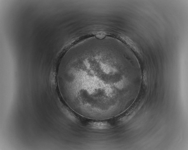 X0000116060449200911271246