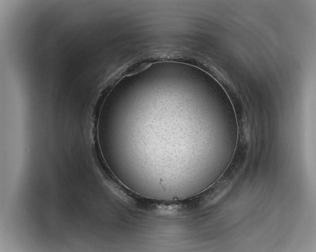 X0000116060450200911271246