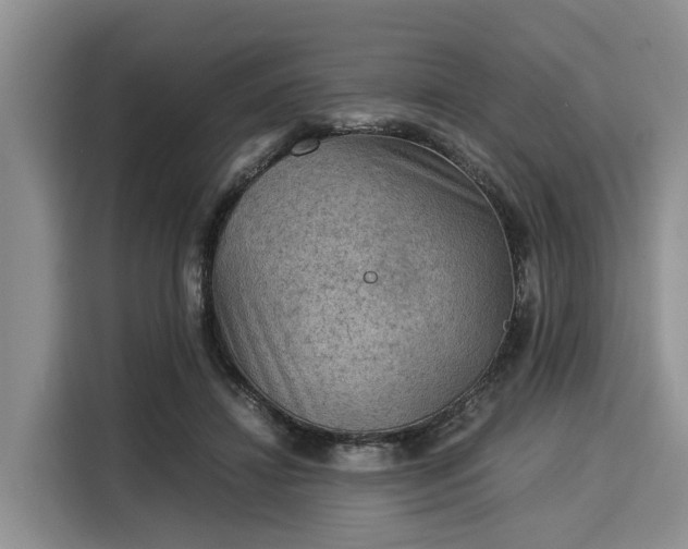 X0000116060452200911271246