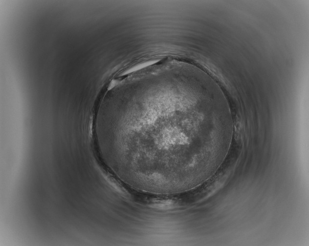 X0000116060454200911271246