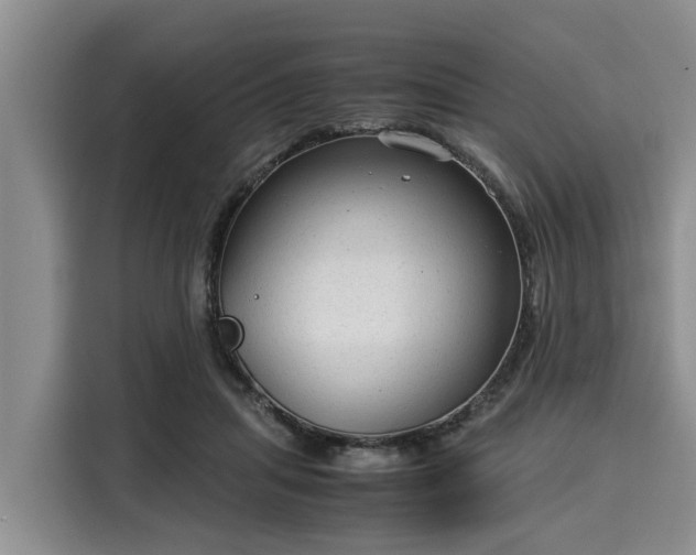 X0000116060455200911271246