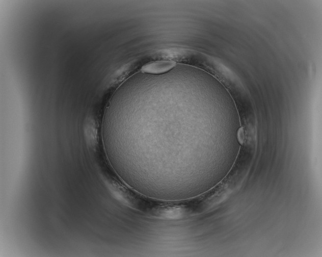 X0000116060456200911271246