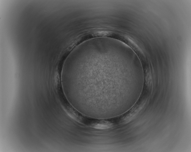X0000116060459200911271246