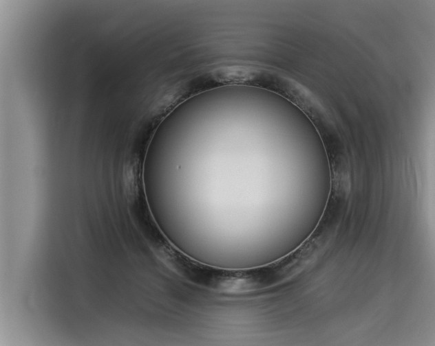 X0000116060460200911271246